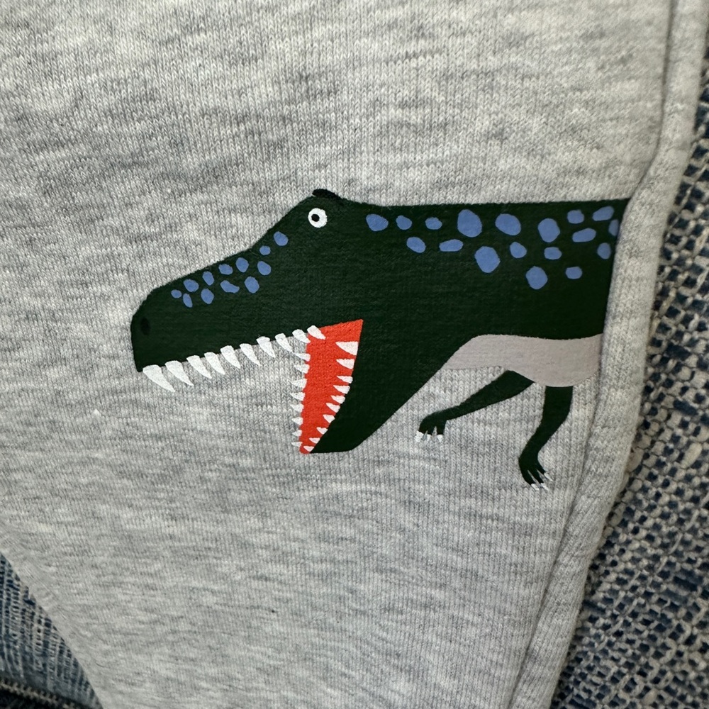 Joules NWT Boys Grey Champion GRMDINO Sweat Pants—Age 1, Height 31.5 - Picture 3 of 7